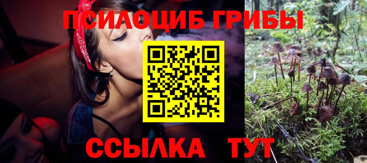 Волжский  Псилоцибиновые грибы MAGIC MUSHROOMS  Вход с VPN 